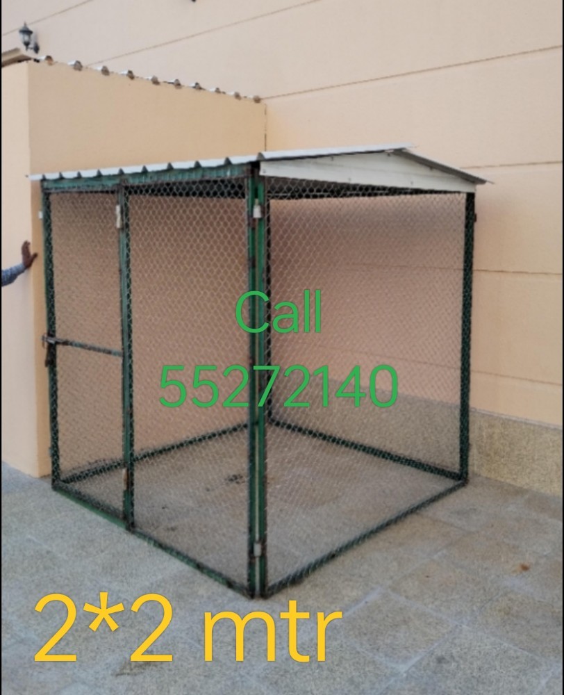 Pigeon room 2*2 - 1