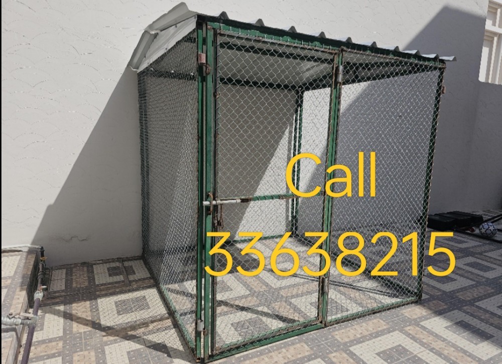 pigeon room 2*2 - 1