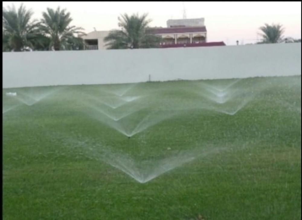تنسيق الحدائق العامة والخاصة - 2