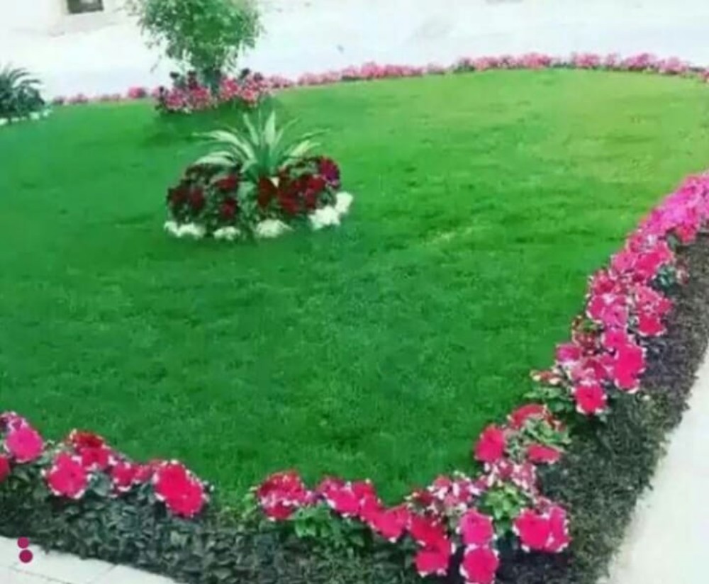 تنسيق الحدائق العامة والخاصة - 3