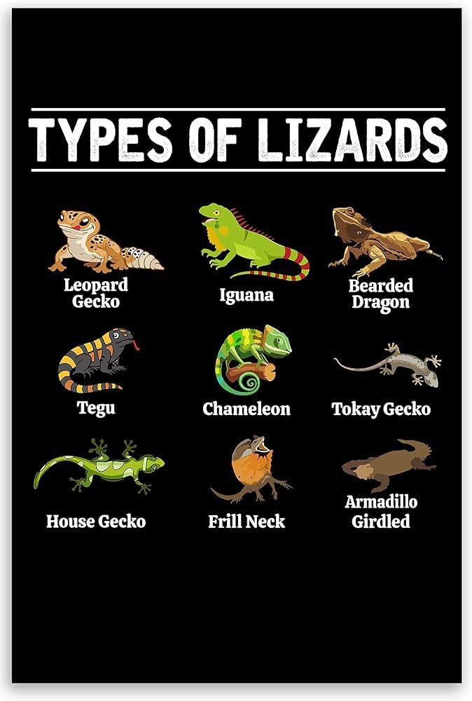 Reptiles for sale - 1