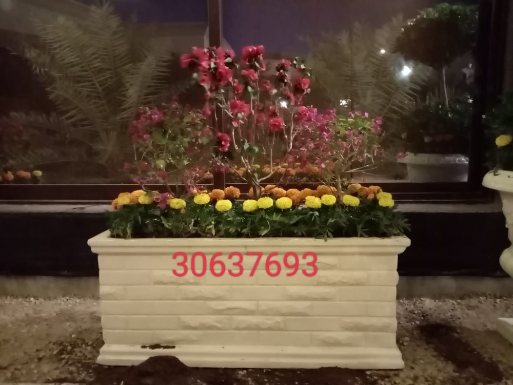 احواض الزراعة - 5