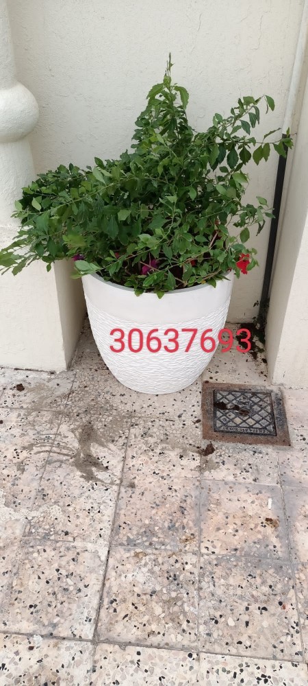 احواض الزراعة - 2
