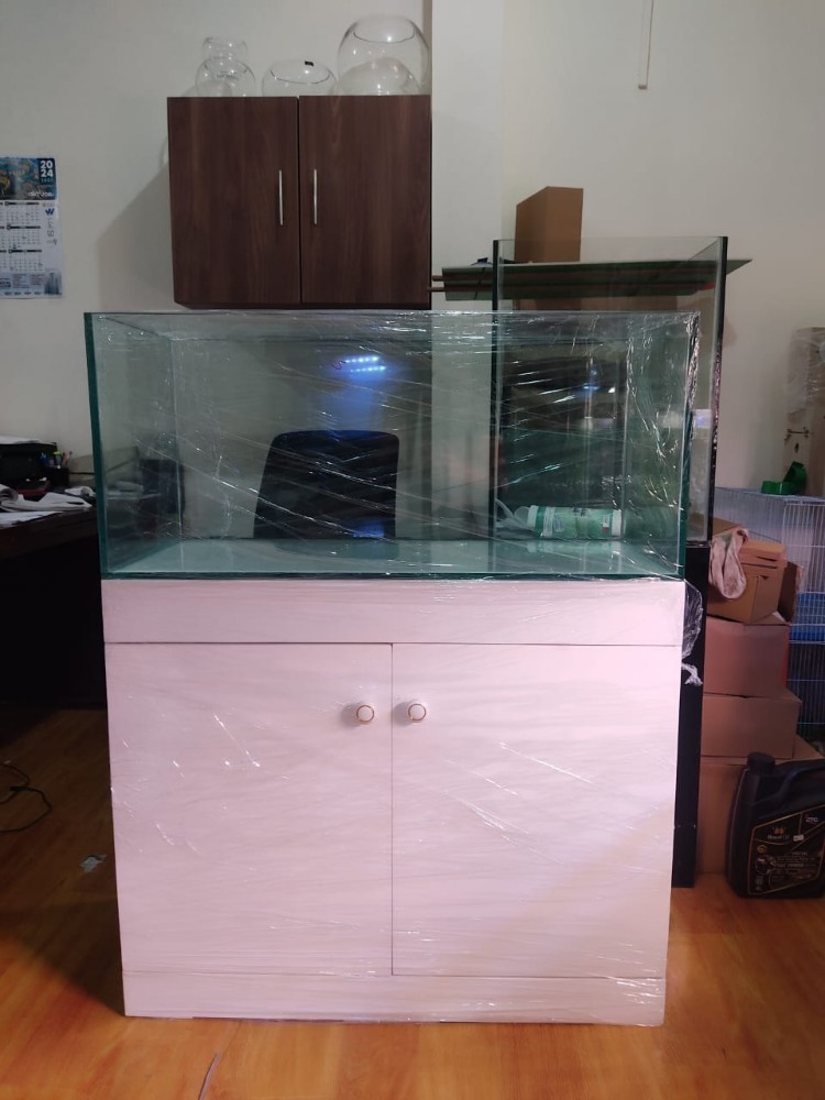 Fish tank / Aquarium customised - 1