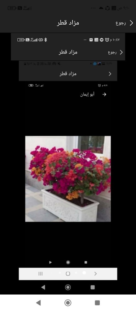 أحواض زراعه - 1