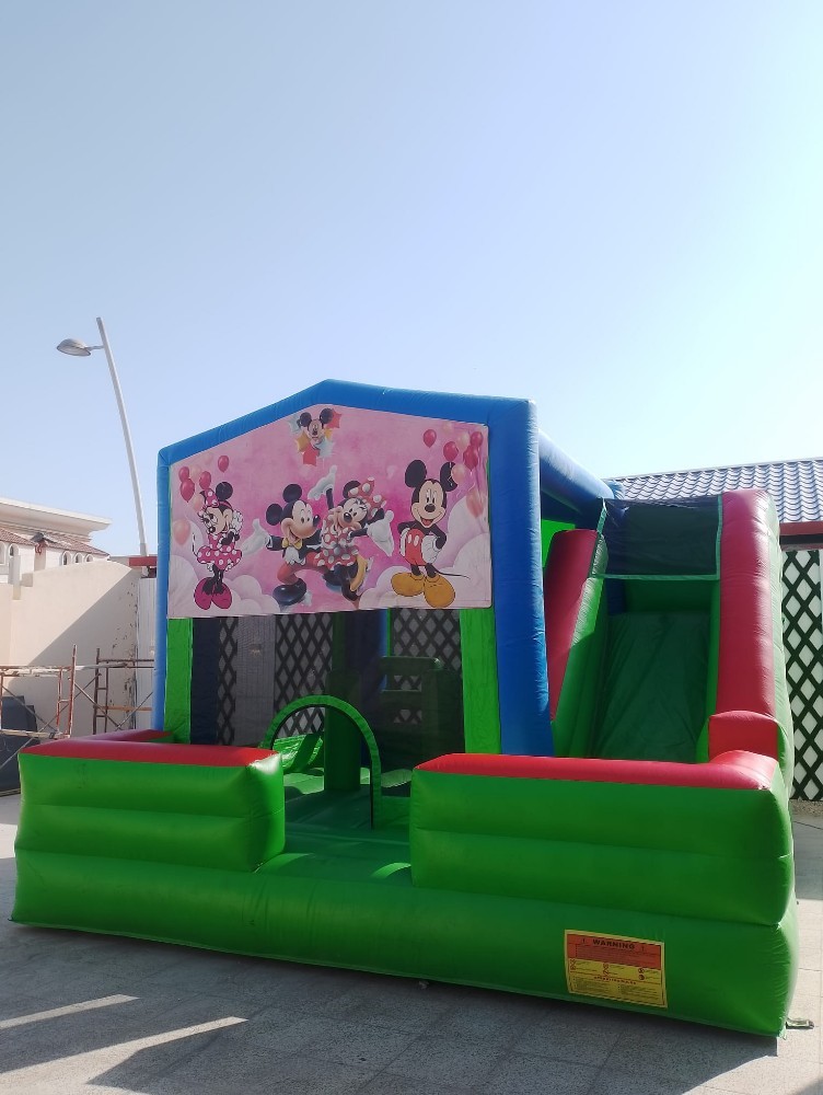 نطاطيات صغيرة - 14
