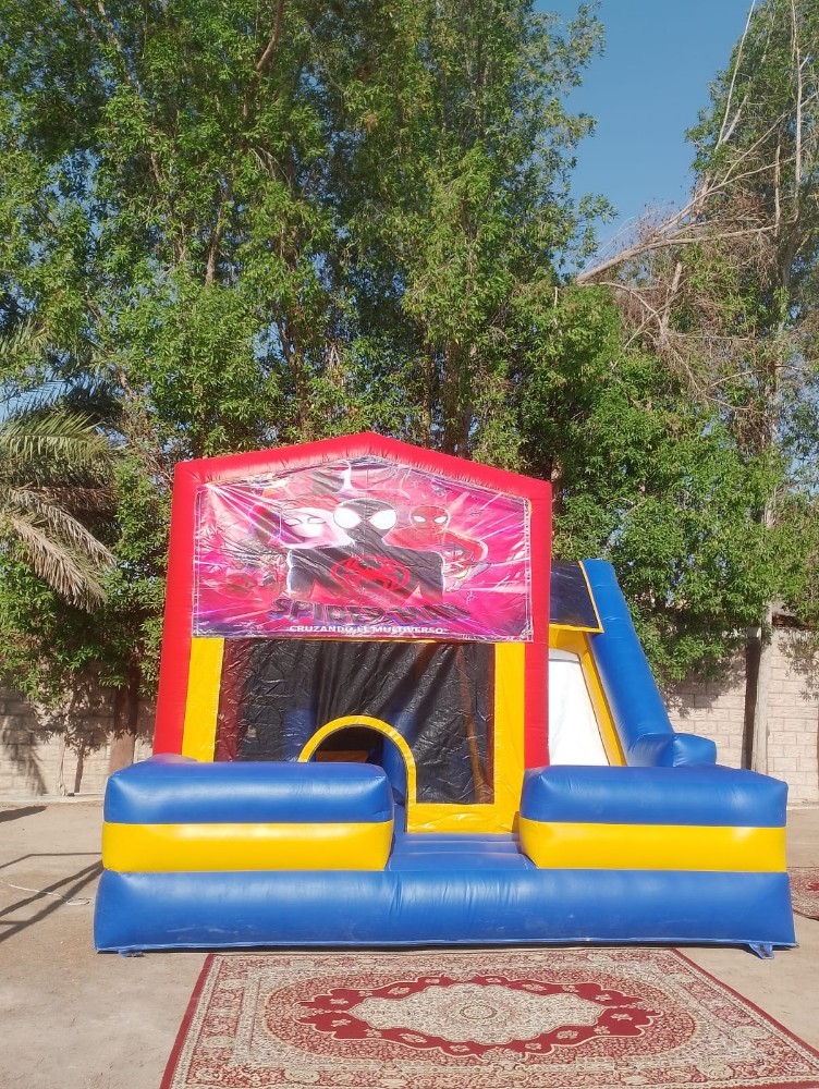 نطاطيات صغيرة - 10