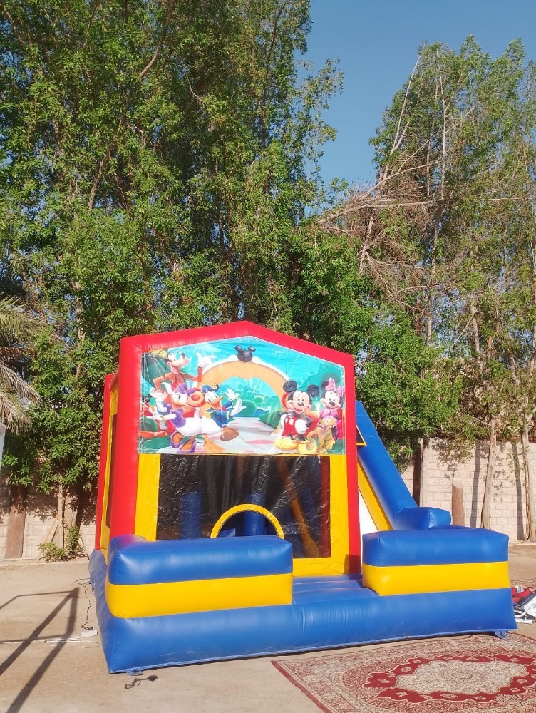 نطاطيات صغيرة - 6