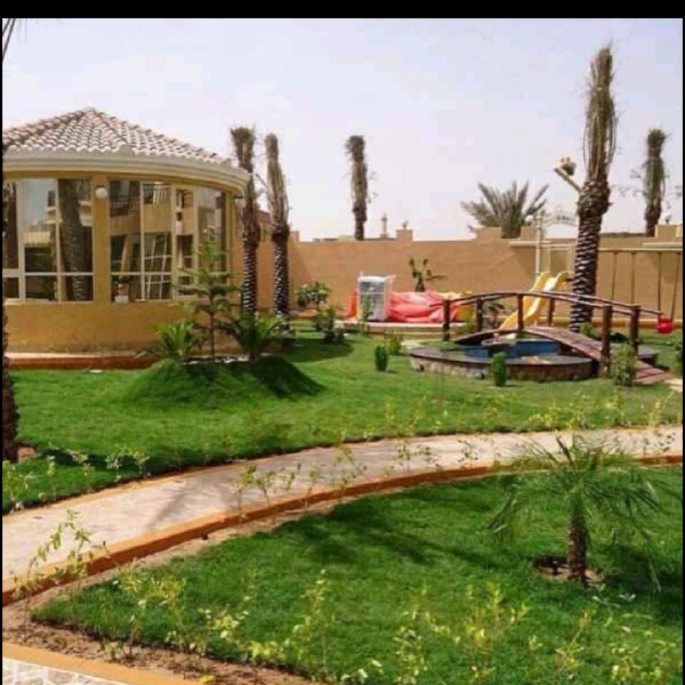 العشب الطبيعي - 3