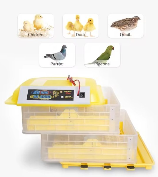 Egg Incubators for Sale - 2