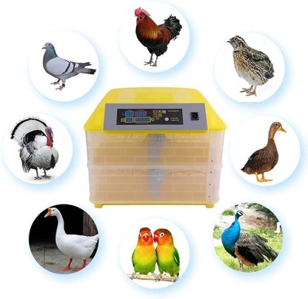 Egg Incubators for Sale - 4