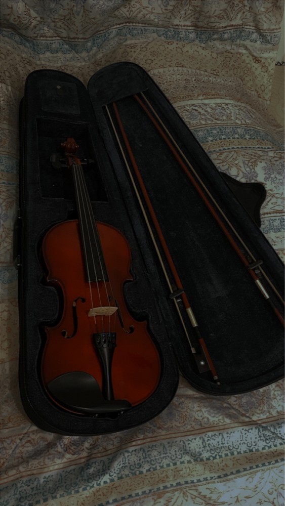 violin full size - 3