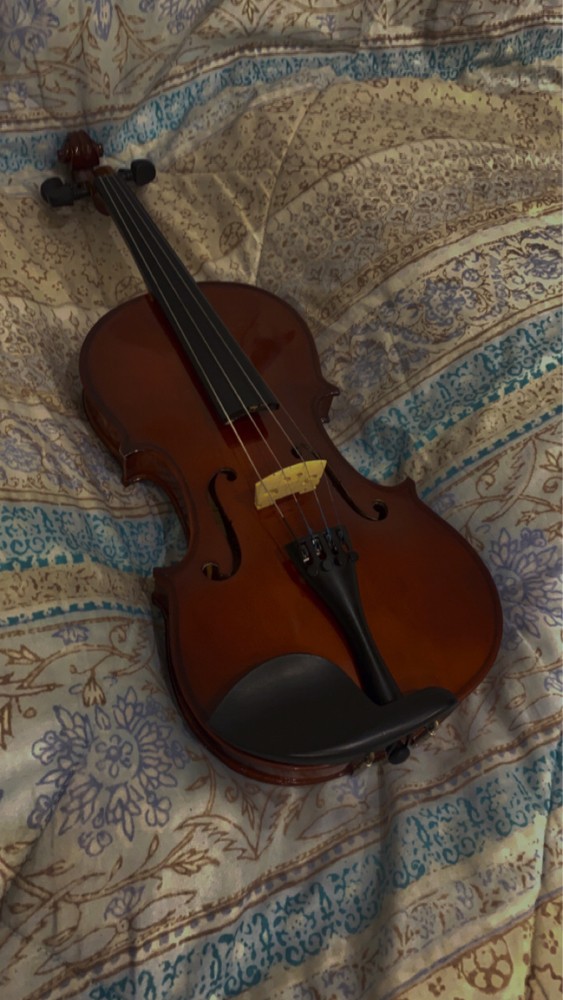 violin full size - 1