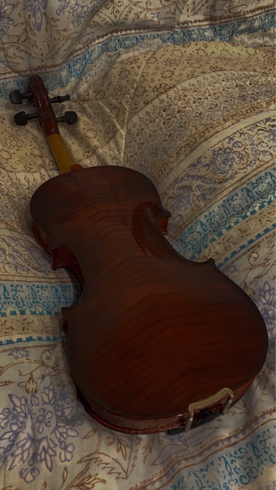 violin full size - 2
