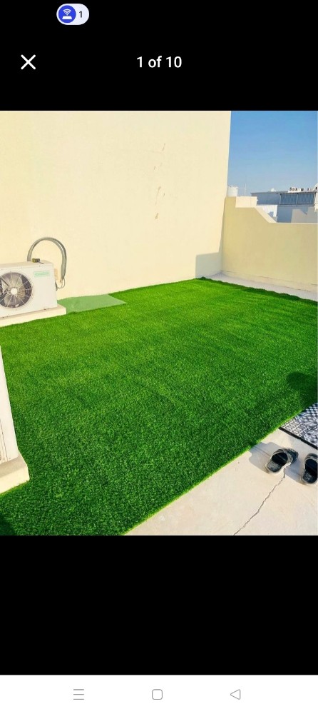 grass jelly,grass carpet,green ca - 15