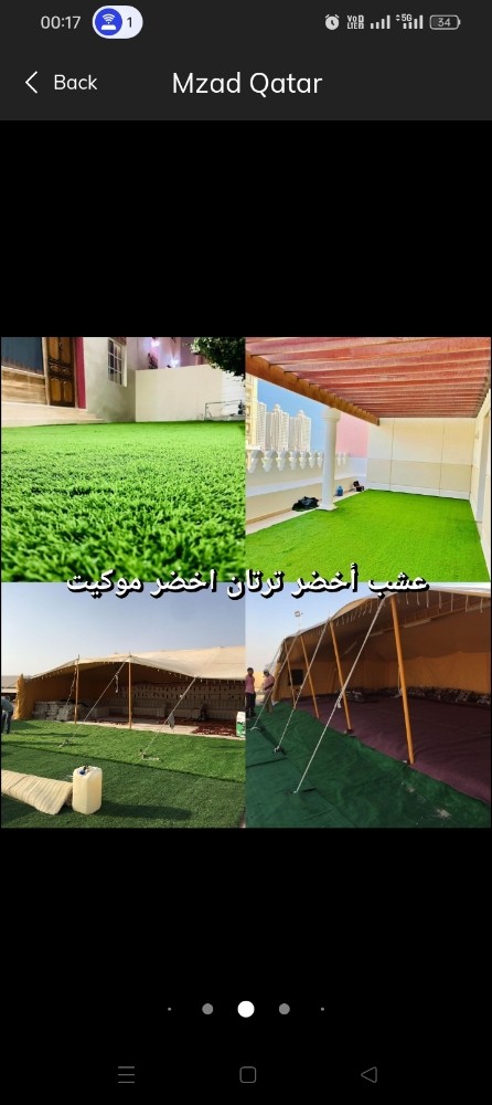 grass jelly,grass carpet,green ca - 2