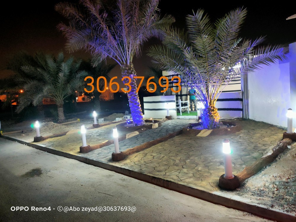 جذوع - 3