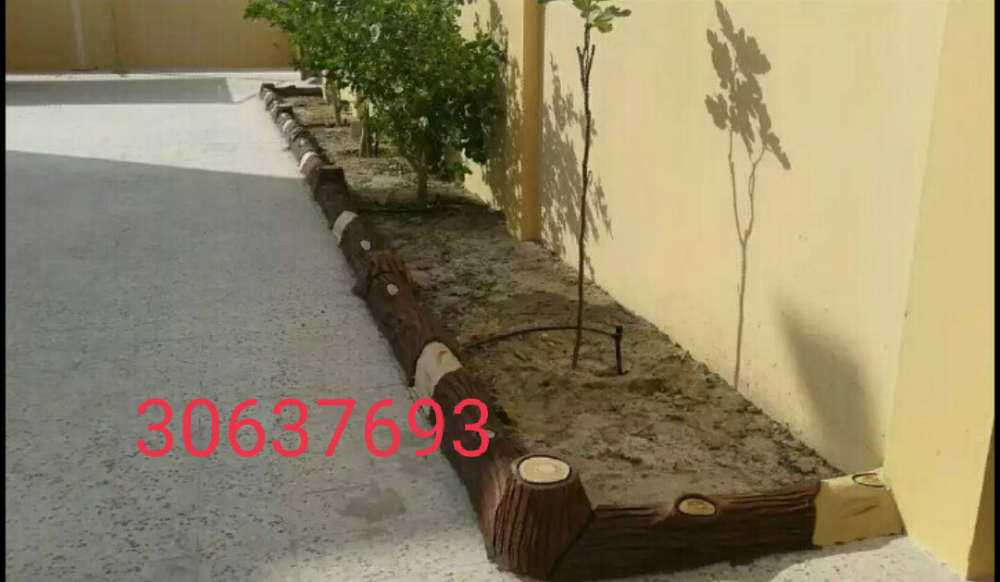 جذوع - 5