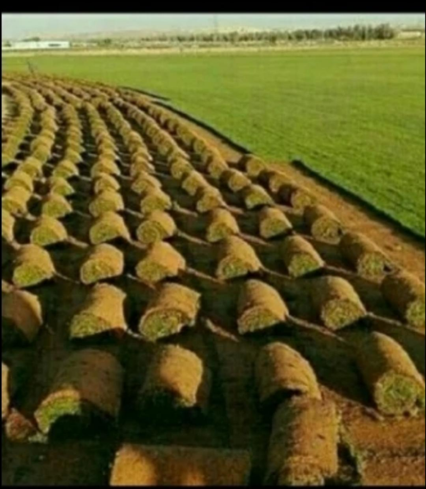 لاند سكيب - 3