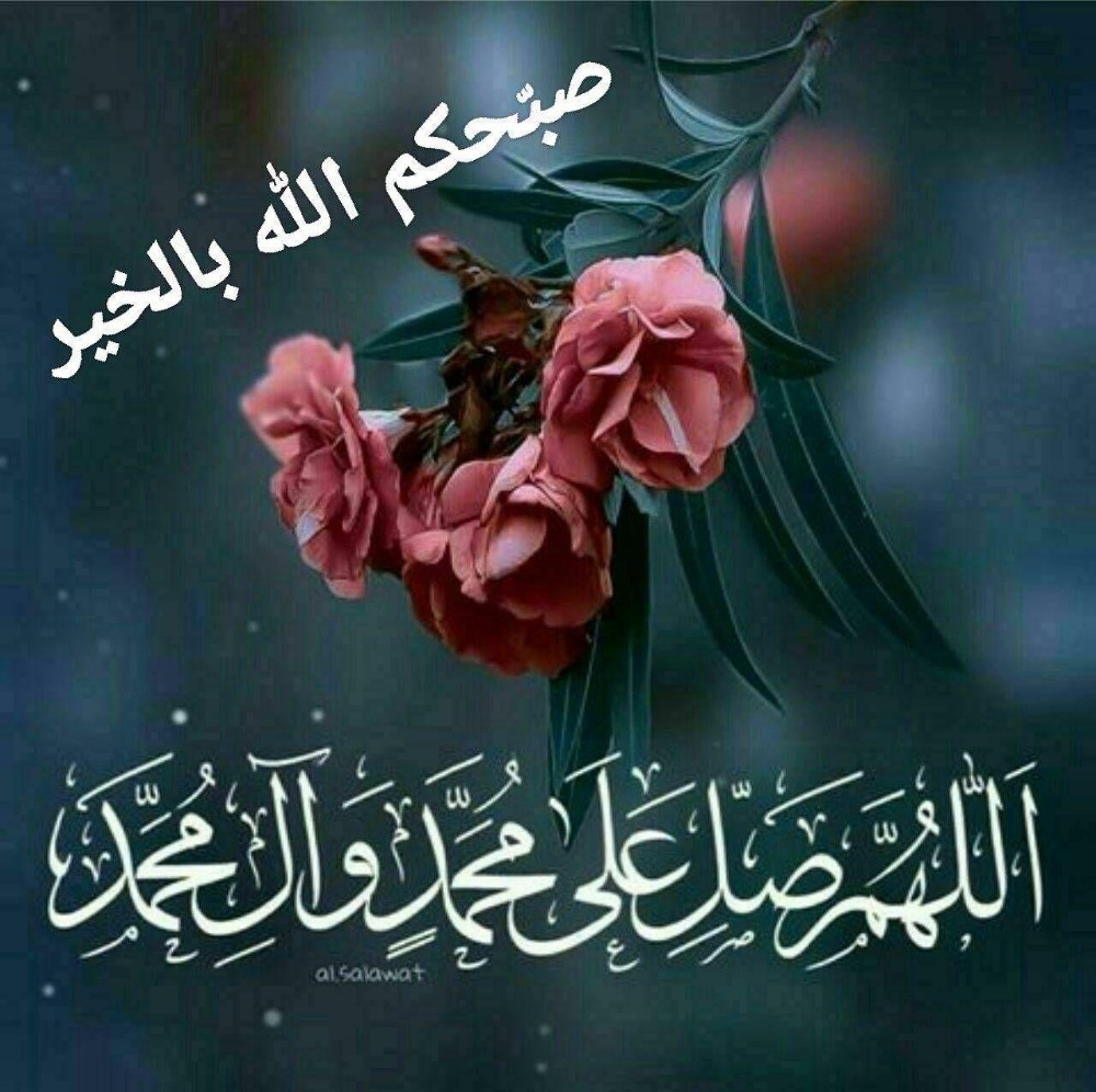 ام يس - 1