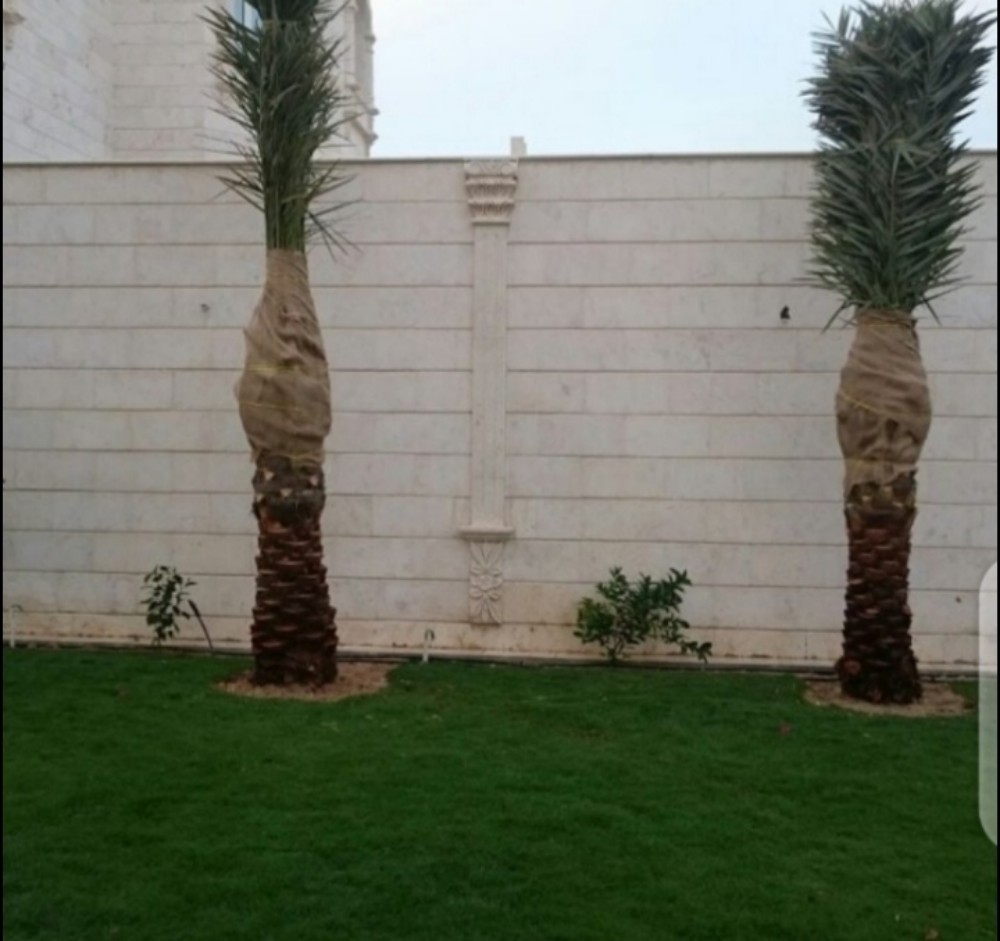 لعمل زراعة النجيل الطبيعي - 3