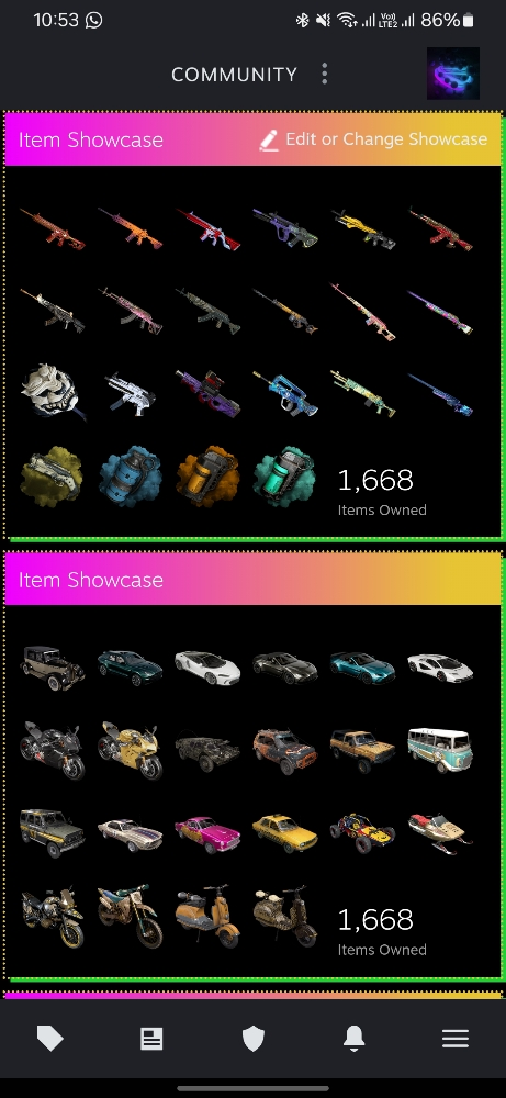 PUBG STEAM ACCOUNT - TOP TIER - 2