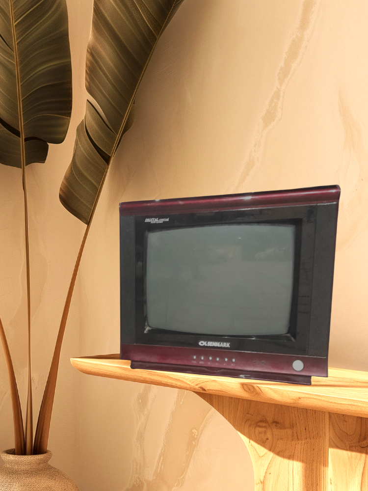 Panasonic - 4