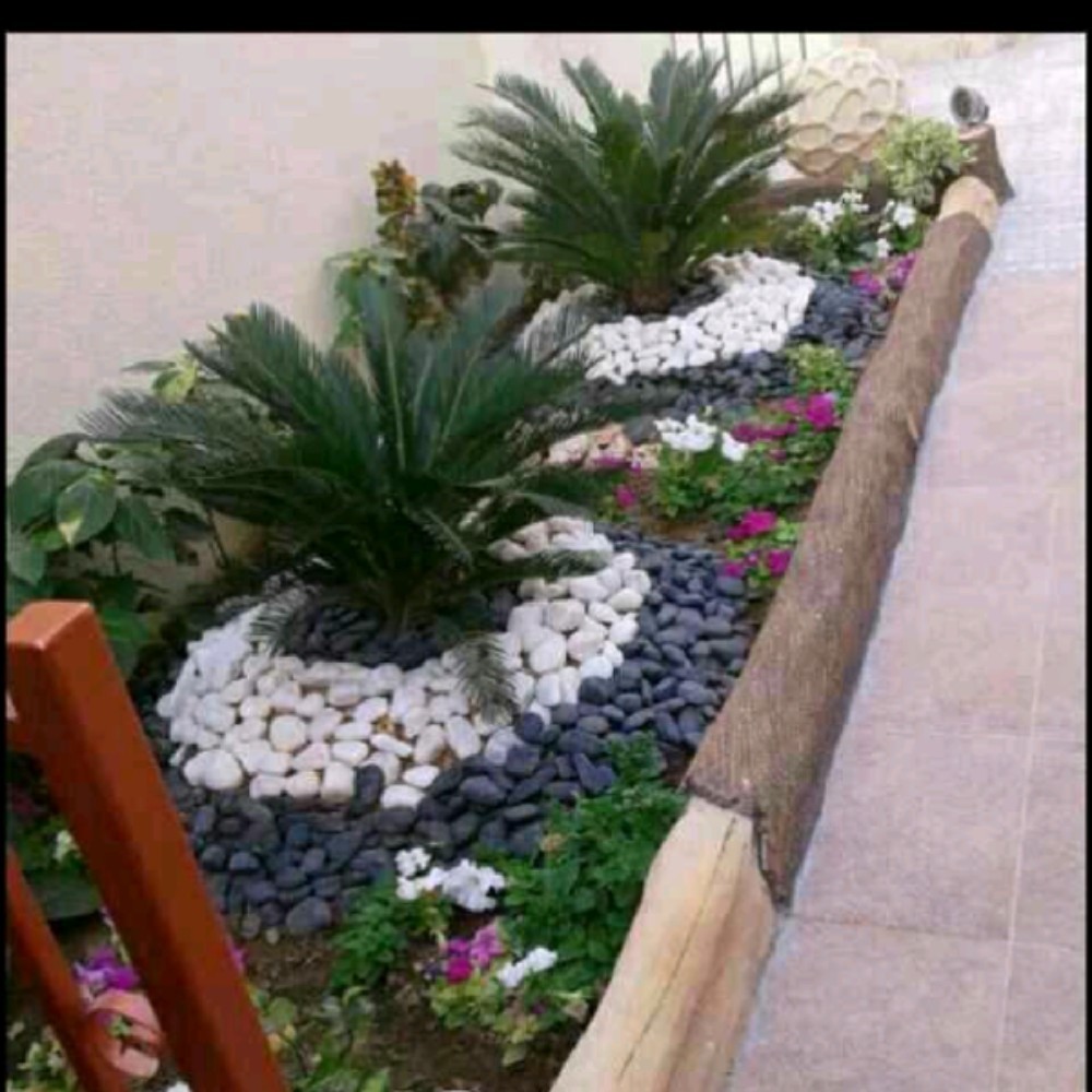 احواض زراعة - 6