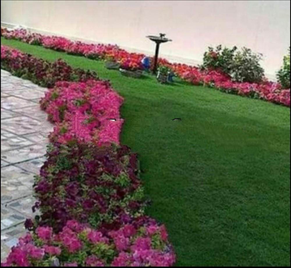 منسق حدائق - 2