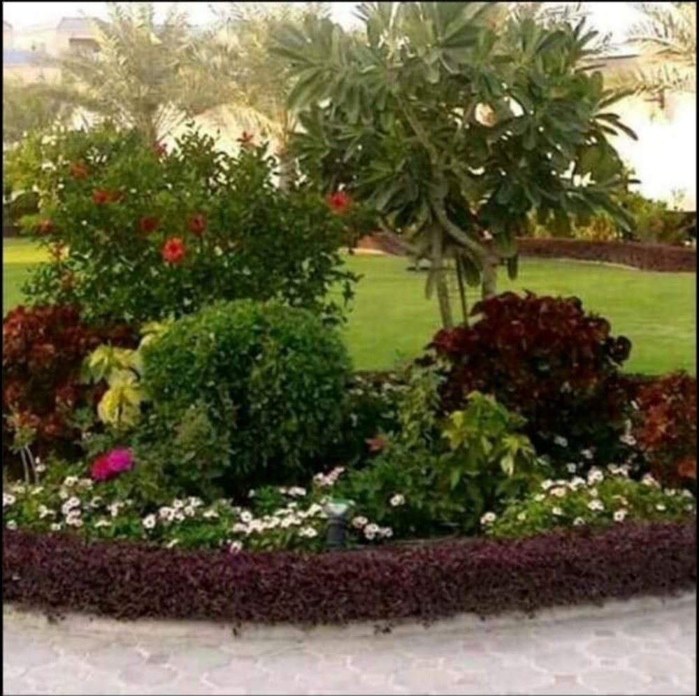 منسق حدائق - 3