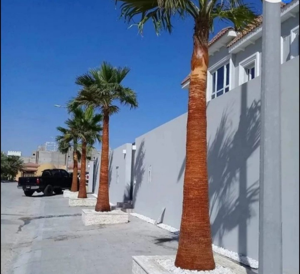 منسق حدائق - 9
