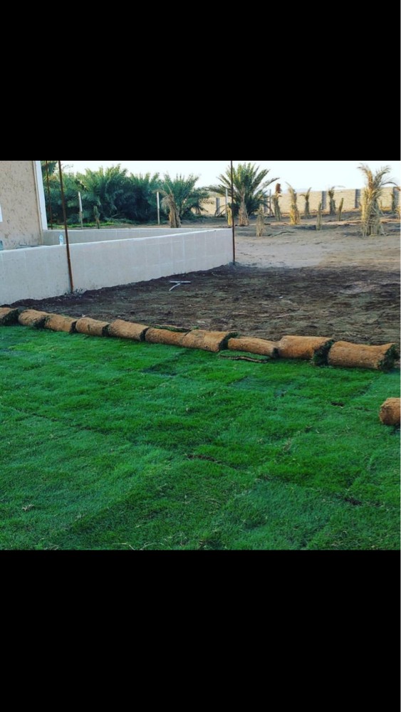 عمل زراعة الحدايق الحشائش - 1