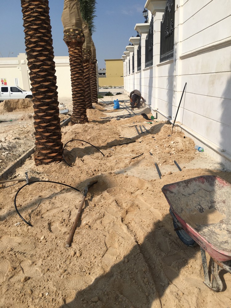 عمل زراعة الحدايق الحشائش - 2