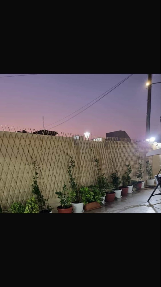 تكريب النخيل رش البلعوم السوس  - 4