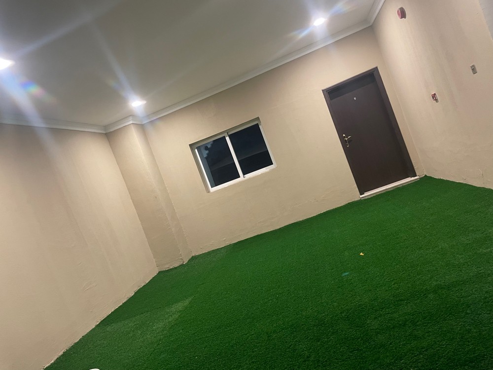 grass carpet for sale low price  - 3