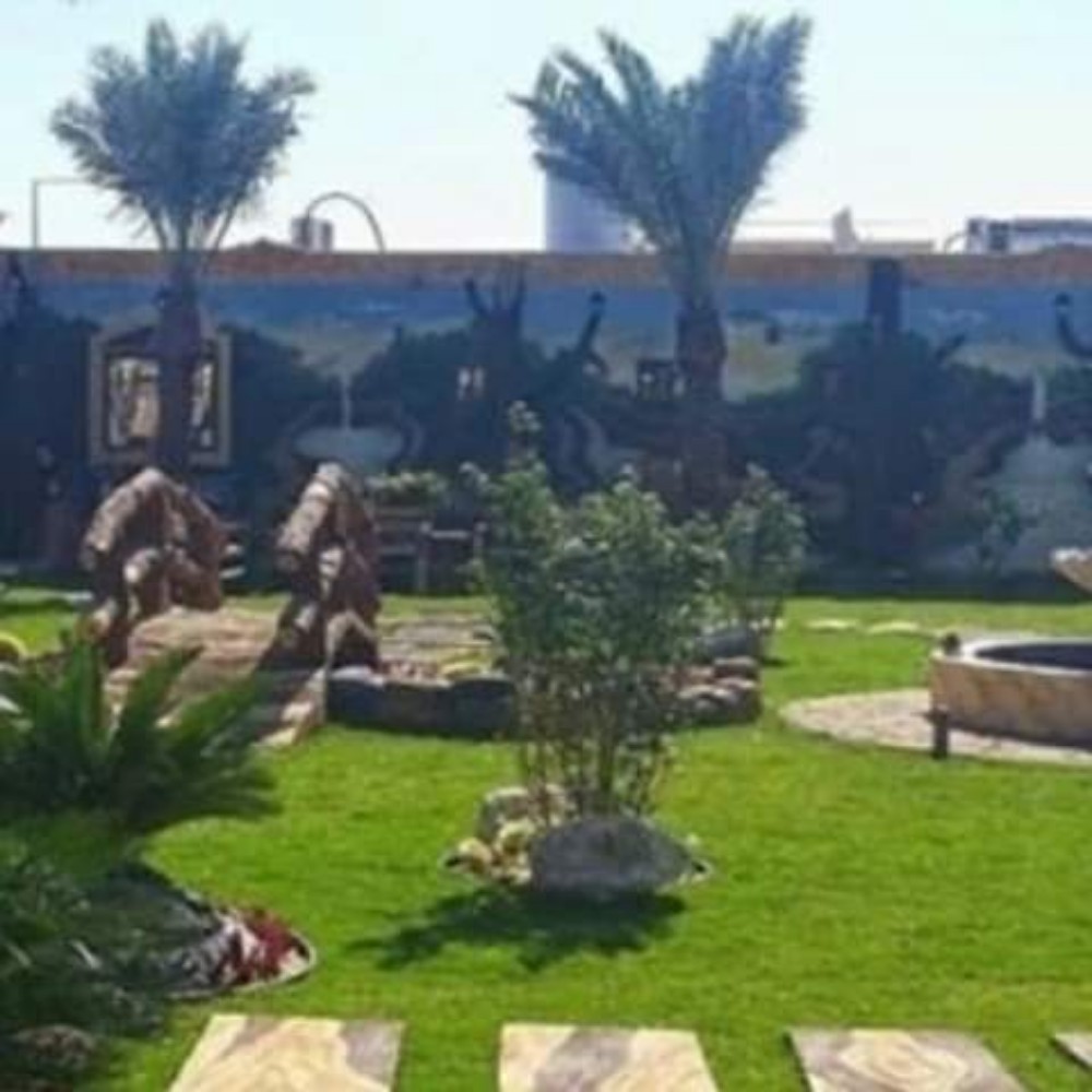 المدينه لزراعه والديكور - 14