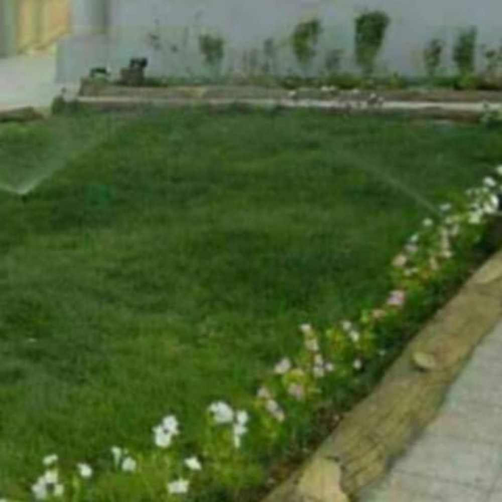 المدينه لزراعه والديكور - 15