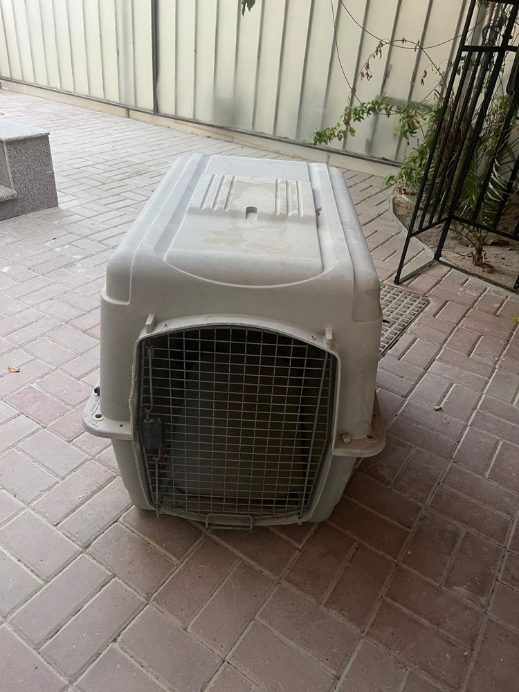cage  - 3