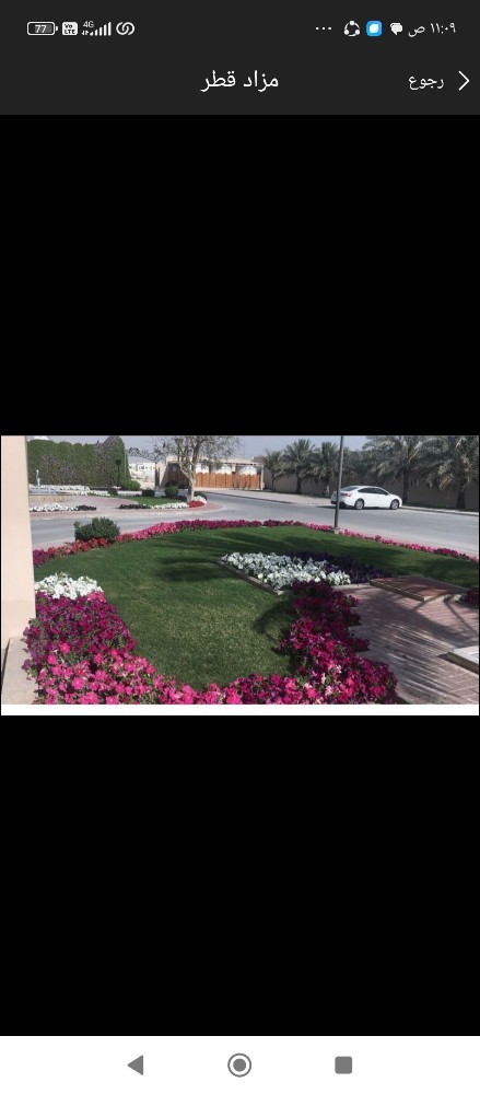 زراع - 1