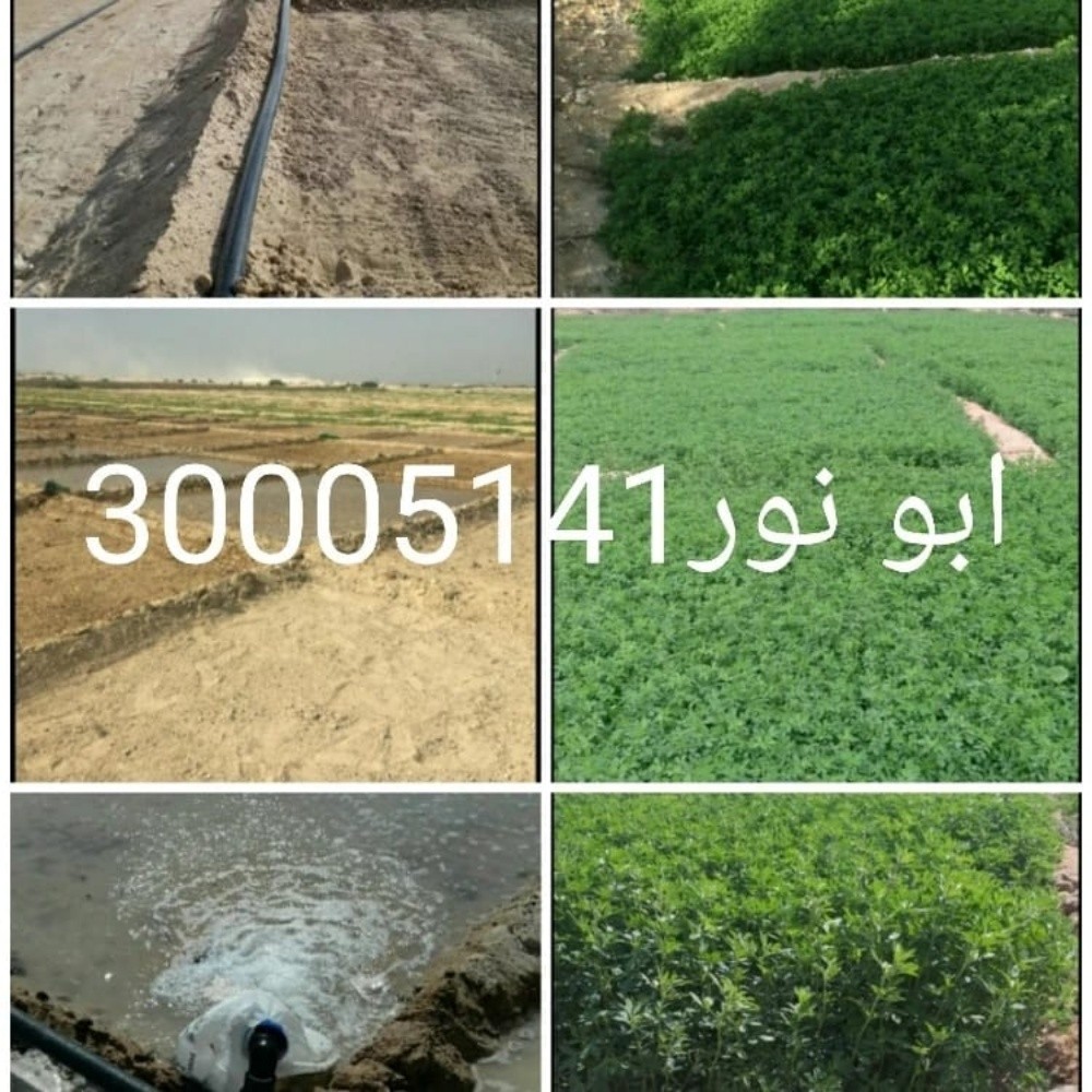 مهندس زو خبره 15سنه - 2