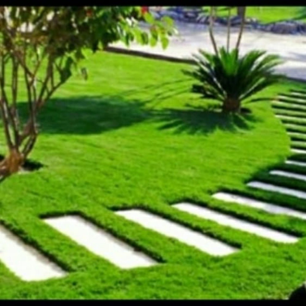 مهندس زو خبره 15سنه - 8