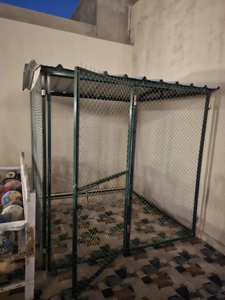 Cages - 3