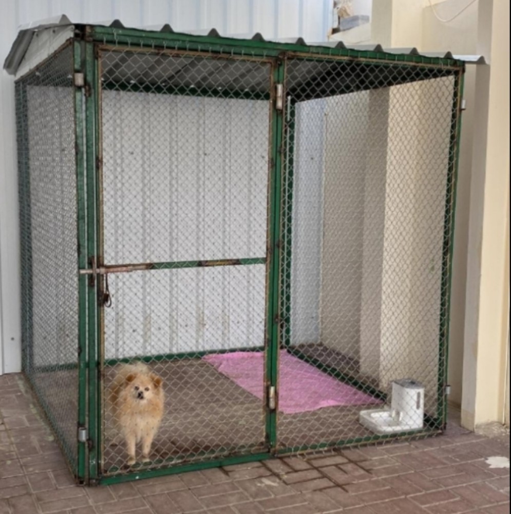 Cages - 2