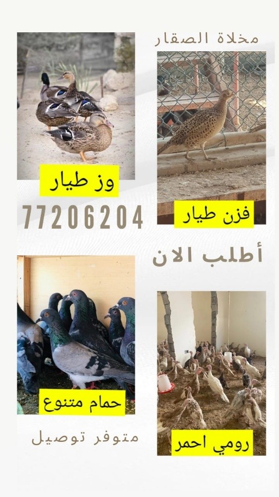 بط طيار تيربو للبيع - 1