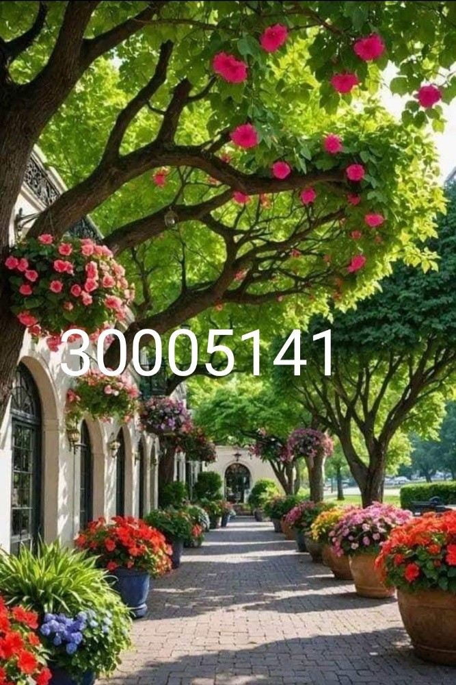 متميزون في تنسيق الحدائق - 2