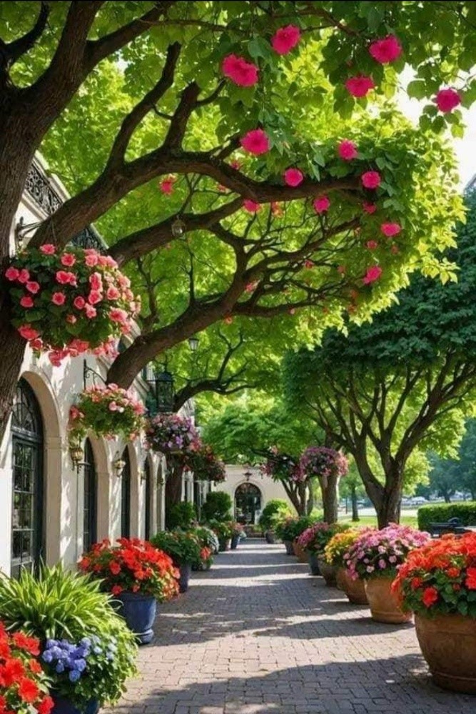 متميزون في تنسيق الحدائق - 4