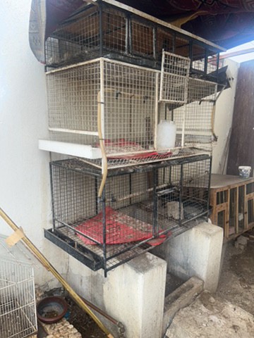metal cage for sale - 2