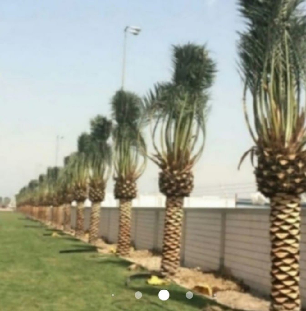 مزراع ومنسق حدائق - 2