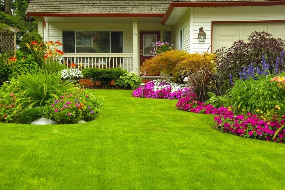 Ealima Landscaping & Maintenance - 2