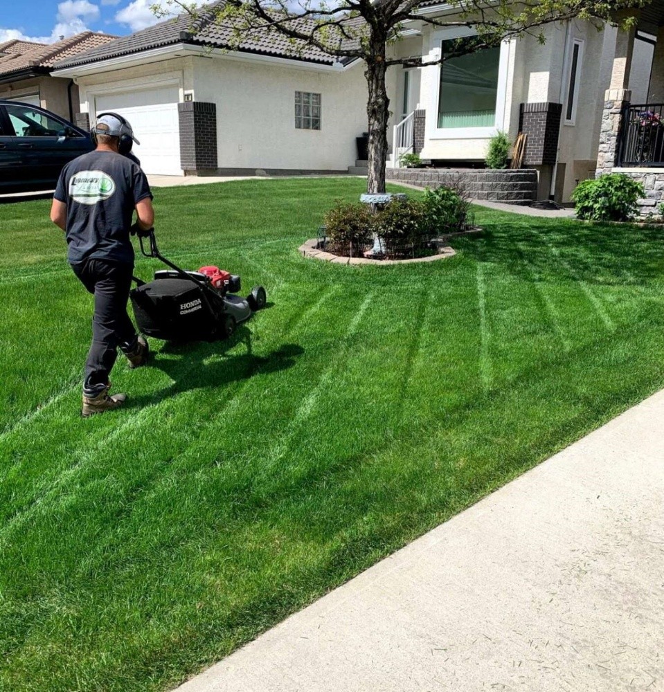 Ealima Landscaping & Maintenance - 5